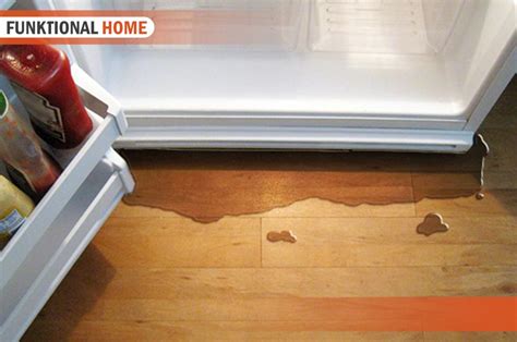 frigidaire refrigerator freezer leaking water|Refrigerators